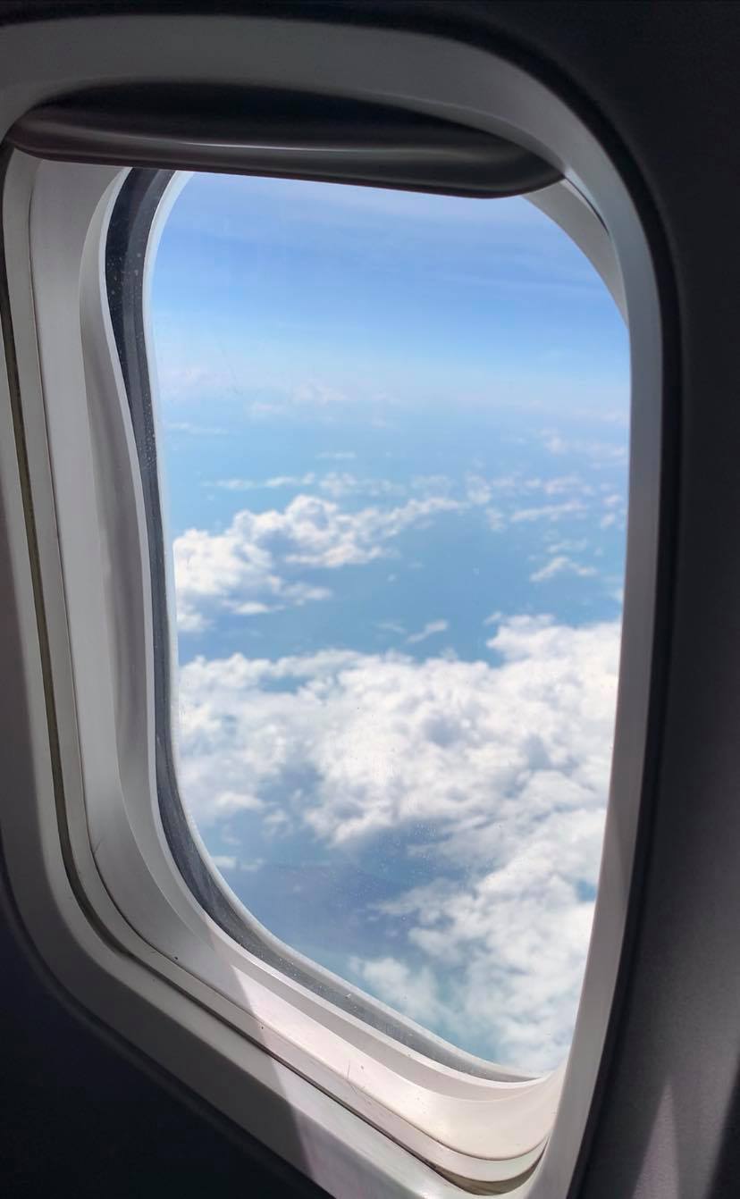 International travel during&nbsp;COVID