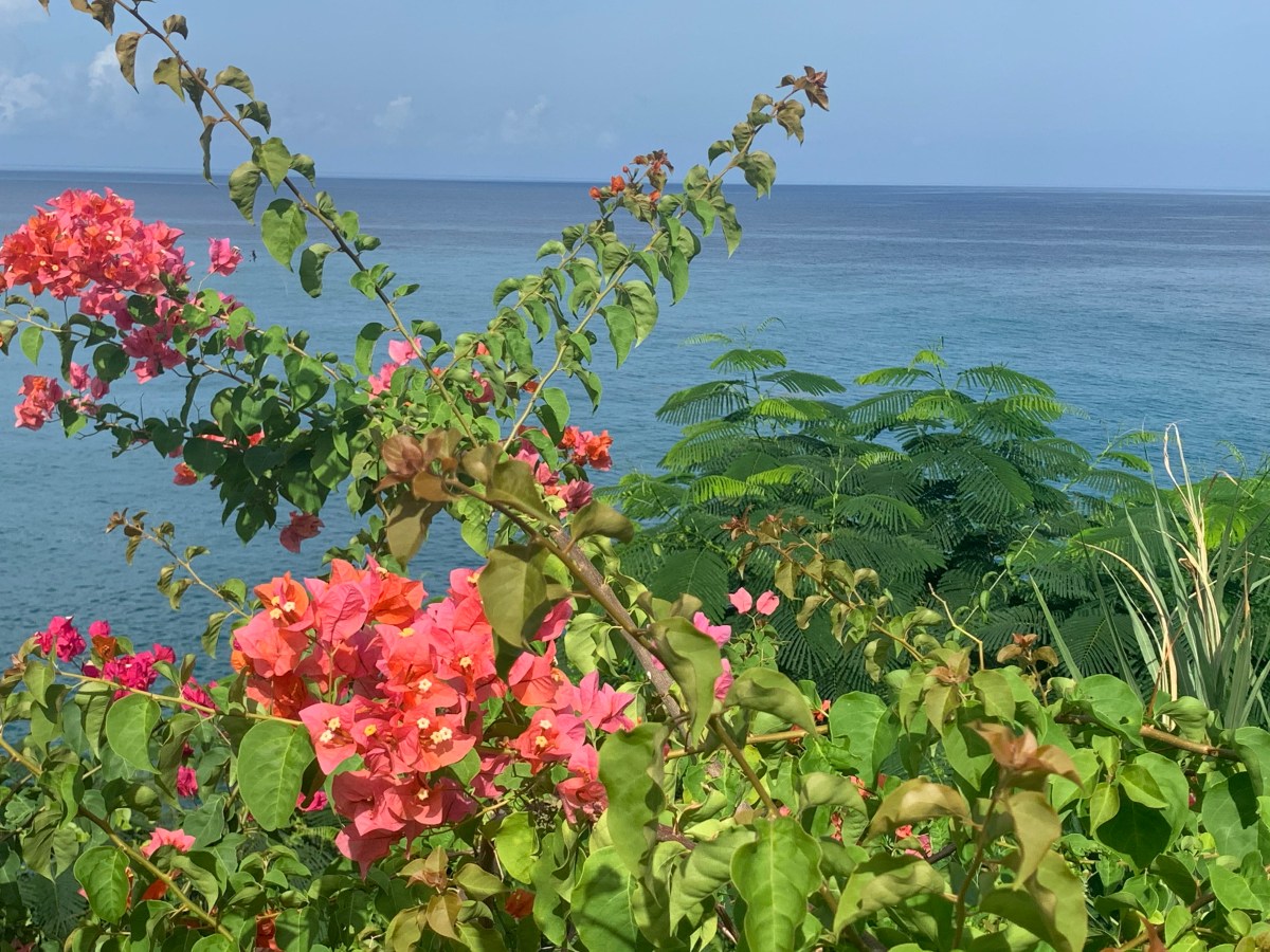 Sandals Regency La&nbsp;Toc