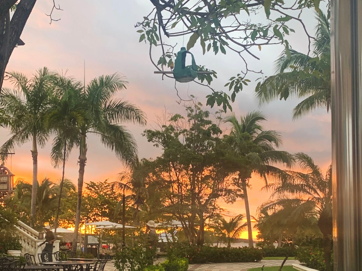 Sandals South Coast,&nbsp;Jamaica